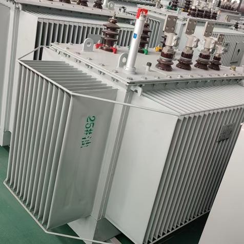1600kVA Oil-Filled Transformer(3)